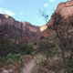 Illustration for article titled Grand Canyons Green Jeep Tours